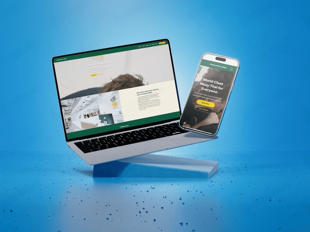 Selected SaaS Project